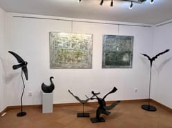 Galerie foto
