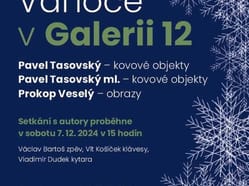 Galerie vanoce