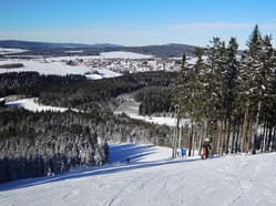 Abertamy z Plešivce