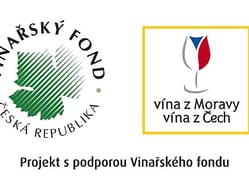Úvod do degustace vína