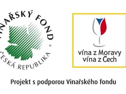 Gastroworkshop: Vojta Gaier & Ryzlink rýnský