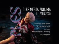 Ples města Znojma