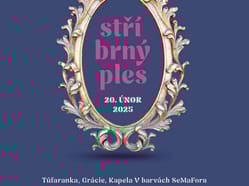 Stříbrný ples Znojmo