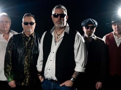 Big Wolf Band | Anděl Music Bar
