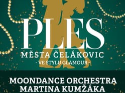 IX. Reprezentační ples města Čelákovic