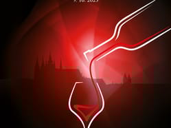 World Wine Show 2025 - DEGUSTACE + MENU