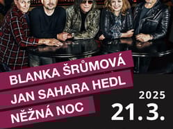 Blanka Šrůmová