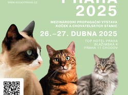 Mezinárodní propagační výstava Kočky Praha 2025
