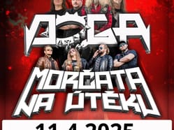 Doga + Morčata na útěku