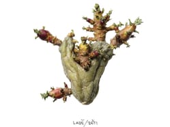 Ladě - pražský křest alba