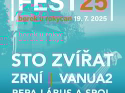 BORECFEST 2025