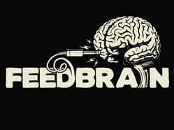 Feedbrain