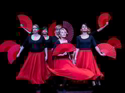 Dance of Love Show 2025