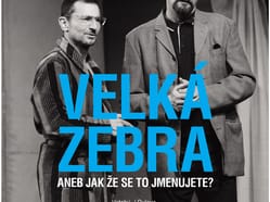 Velká zebra v Litvínově