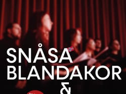 SNÅSA BLANDAKOR & BENDL