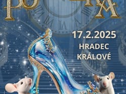 POPELKA I Hradec Králové