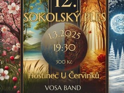 12. Sokolský ples