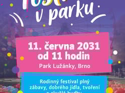 Festival v Parku - test