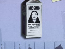 PAM RABBIT: The Missing Tour