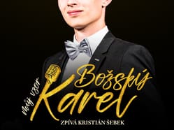 Můj Vzor