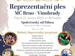 31. Reprezentační ples městské části Brno - Vinohrady