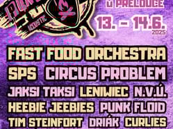 PUNKPLUGGED FESTIVAL vol. 3
