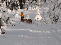 Závody