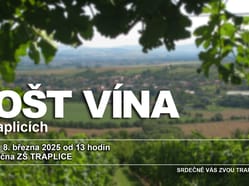 Košt vína - Traplice
