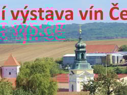 Tradiční výstava vín Čejkovice