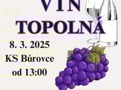 51. výstava vín v Topolné