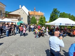 Bohutický košt