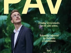 Filmový klub: Páv