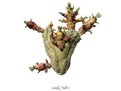 Ladě – brněnský křest alba 'Děti'