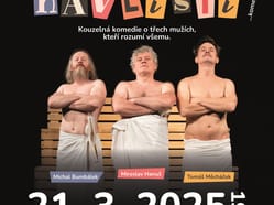 Zkurvení havlisti v Černovicích