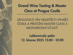 Grand Wine Tasting & Master Class at Prague castle