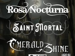 Gothic & Folk Metal Night