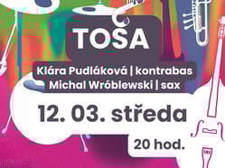 TOŠA