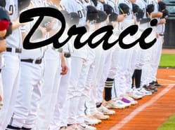 Draci Brno Baseball - sezónní permanentka 2025