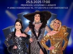 Divoké kočky - travesti show