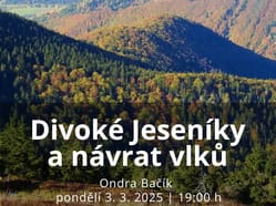 Divoké Jeseníky a návrat vlků