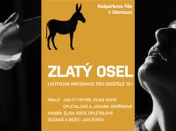 Zlatý osel 2. premiéra