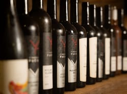 Sobotní degustace ve Vinařství Fučík