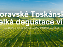 Velká degustace vín z Moravského Toskánka ve vinařství SPIELBERG