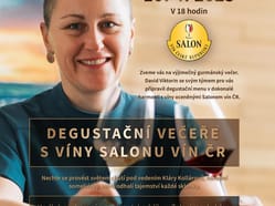 Degustační večeře s víny ze Salonu vín a národní someliérkou