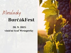 Miroslavský BurčákFest
