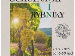 Ochutnávky vín Rybníky