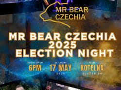 Mr Bear Czechia 2025: Election night