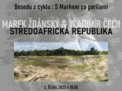 S Markem za gorilami