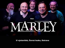 Verše Koncert