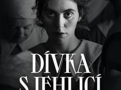 Dívka s jehlicí
